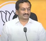 Raghunandan Rao fires at BRS leaders for comments on BJP