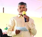 Chandrababu responds on three deaths in Vijayanagaram district