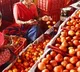 These are the 5 health benefits of eating tomatoes