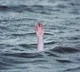 Four Indians dead in Australia beach tragedy