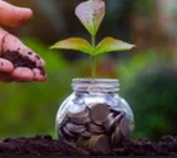 Bigger mutual fund schemes start deploying cash