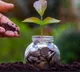 Bigger mutual fund schemes start deploying cash