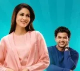 Miss Perfect Web Series Update