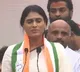 YSR family divided just because of Jagan says YS Sharmila