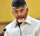 Chandrababu wishes voters on National Voters Day