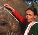40-yr efforts to reduce human-elephant conflict recognised, Assam’s 'Elephant Girl' gets Padma Shri