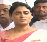 YS Sharmila fires on YSRCP leaders