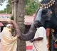 PM adds local flavour to Ram narrative with his TN temple appearances