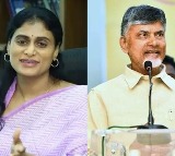 Chandrababu and YS Sharmila today schedule