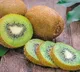 Kiwifruit may help improve your mental health in just 4 days: Study