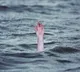 Three students drown in Krishna river in Vijayawada