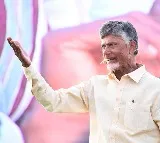 Chandrababu slams YCP MLA Anil Kumar Yadav