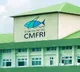 In a first, CMFRI to develop lab-grown fish meat