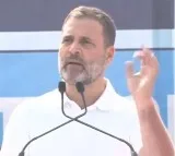 Country cannot develop without social & financial justice: Rahul