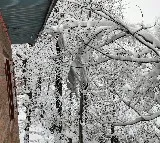 Kashmir plains receive season's first snowfall