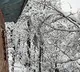Kashmir plains receive season's first snowfall