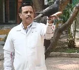 ‘Chinese spy’ pigeon released from Mumbai ‘jail’ after PETA intervention