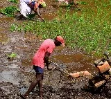 Interim Budget: FM focus on farmers welfare and rural demand, says direct financial help provided to 11.8 cr farmers every year
