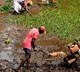Interim Budget: FM focus on farmers welfare and rural demand, says direct financial help provided to 11.8 cr farmers every year