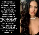 Controversial actress-model Poonam Pandey succumbs to cancer