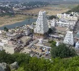 Boy enters Srikalahasti temple by ladder at midnight