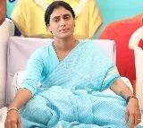 Sharmila take a jibe on Chandrababu and Jagan over special status issue
