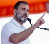 Rahul Gandhi reacts to social media comments on YS Sharmila