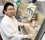US scientists 1st to 3D-print functional human brain tissue