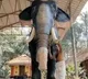NGO hands over robotic elephant to TN temple