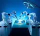 First endo-robotic surgery performed at Kochi hospital on 75-yr-old woman