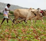 Union govt gives clarity on PM Kisan amount hike speculations