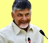 Chandrababu's Delhi Trip Sparks Alliance Talks Among TDP, Janasena, and BJP