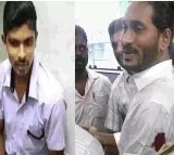 AP High Court grants bail to Kodi Kathi Srinu