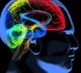 1 in 5 Indian adults over 60 show signs of mild neurocognitive disorder: Study