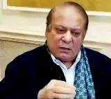 Sharif brothers secure win, PML(N) claims majority in National Assembly