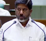Telangana Budget Allocation To Different Sections