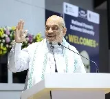 Amit Shah interesting comments on BJP alliance in AP