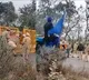 Farmers protest: Security intensified on Delhi borders