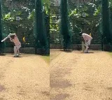 KL Rahul Batting In Nets After Injury Ahead Of 3rd Test Goes Viral