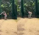 KL Rahul Batting In Nets After Injury Ahead Of 3rd Test Goes Viral