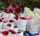 Nepal importing over 3 lakh roses from India for Valentine's Day