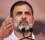 Rahul pledges guarantee on MSP but Cong govt rejected Swaminathan Committee report in 2010
