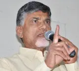 TDP Not Competing in Rajya Sabha Elections: Chandrababu