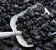 Centre holding industry meet in Hyderabad to speed up coal gasification projects