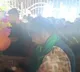 Minister Seethakka hot comments on Medaram festival