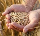 Govt significantly enhanced financial assistance for farm sector in last 10 years