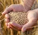 Govt significantly enhanced financial assistance for farm sector in last 10 years