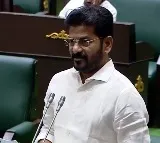 CM Revanth Reddy targets brs over samagra kutumba sarve