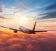 BCAS directs seven airlines to deliver baggage within 30 minutes