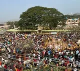2000 buses allocated to Medaram fest from hyderabad